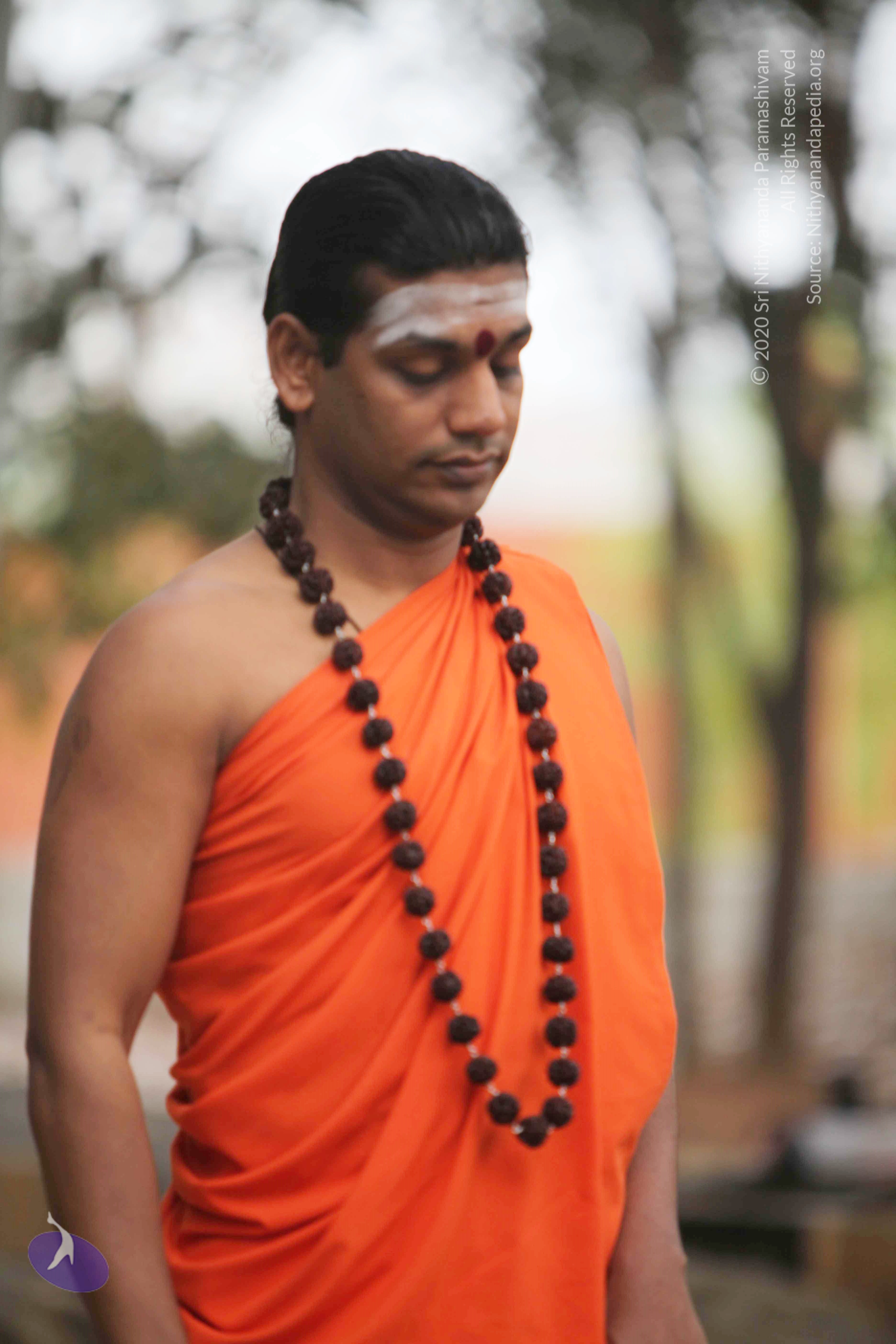 20110225_Photo_1055_IMG_0770_CMP_WM